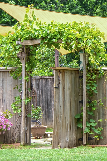Garden shaded by sails beyond a wooden fence with open door.